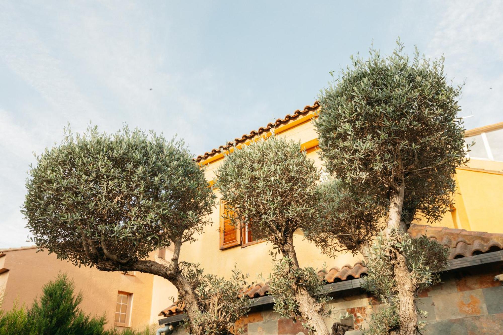Chalet, Villa Rodeada De Naturaleza Piscina A Doce Klm De Valencia Y 7 Del Aeropuerto 外观 照片