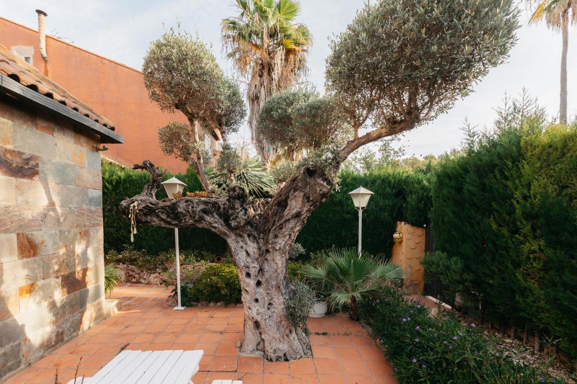 Chalet, Villa Rodeada De Naturaleza Piscina A Doce Klm De Valencia Y 7 Del Aeropuerto 外观 照片